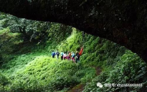 了解终究要长大 一切挫折只是路上的风景是什么意思?,提升知识星球的学习体验